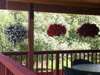 Teton View Bed And Breakfast Wilson Εξωτερικό φωτογραφία