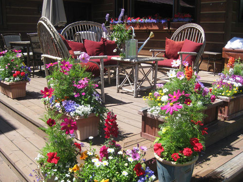 Teton View Bed And Breakfast Wilson Εξωτερικό φωτογραφία